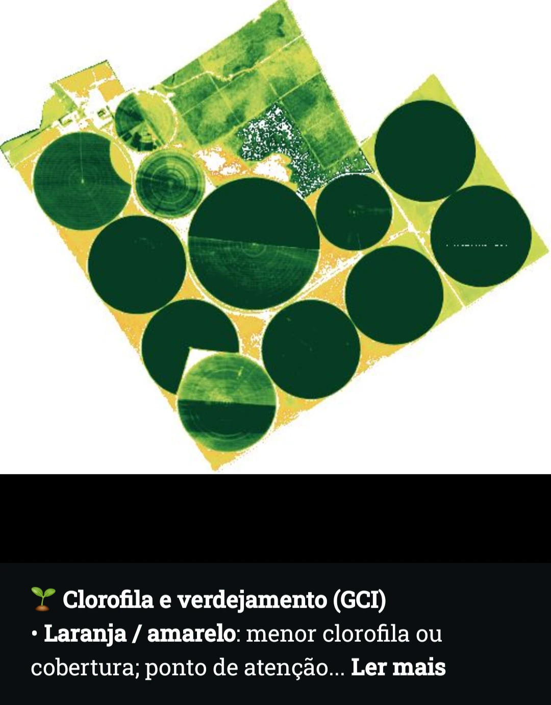 Exemplo real de índice CGI por satélite para análise de clorofila