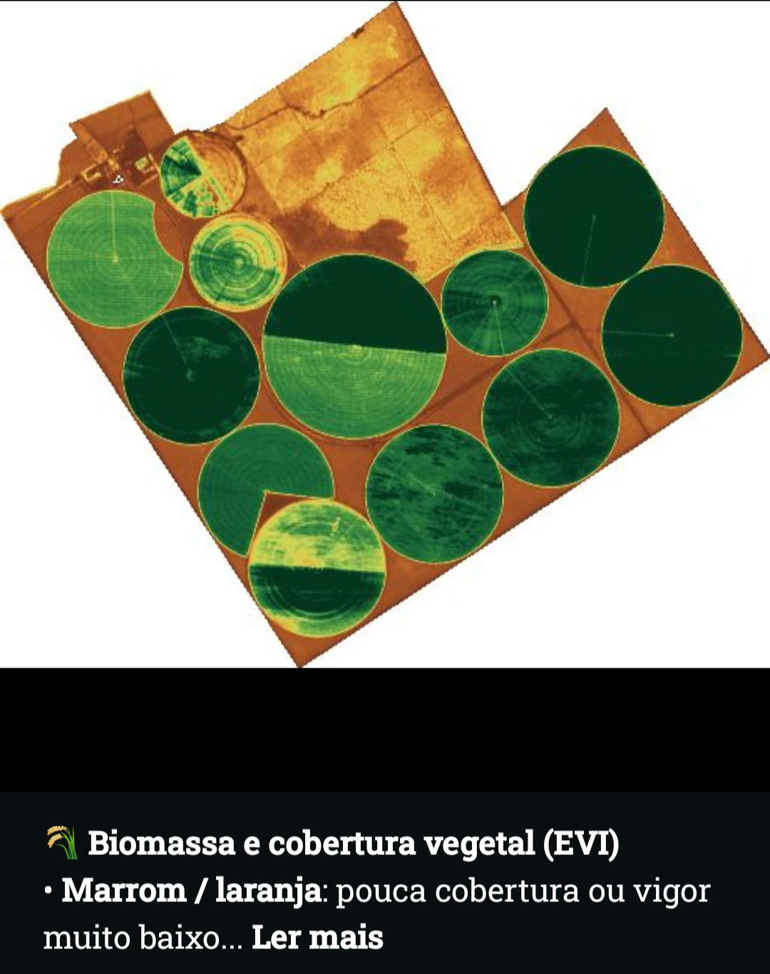 Exemplo real de índice EVI por satélite para vegetação densa
