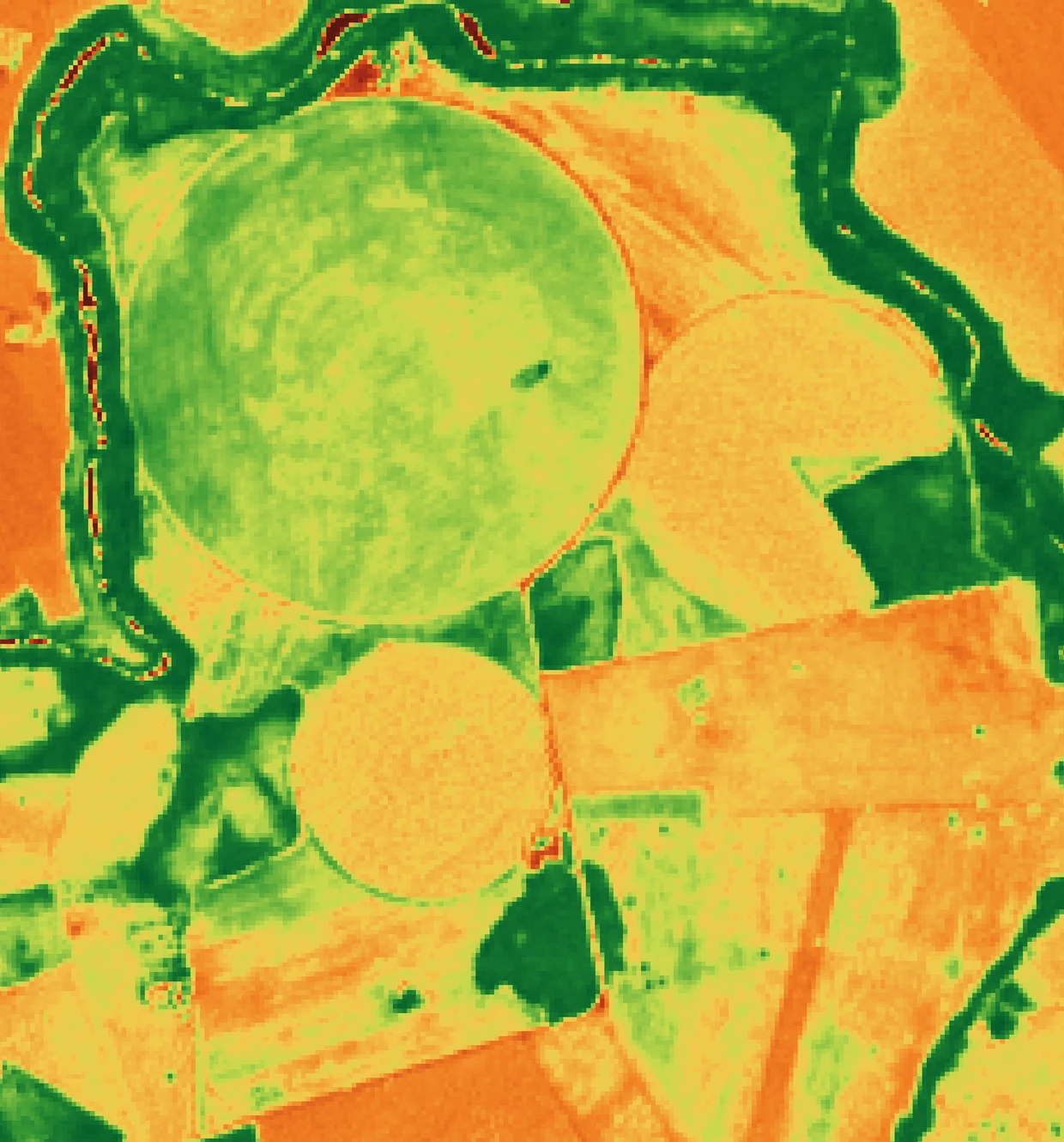 Exemplo real de mapa NDVI em tons de verde, amarelo e vermelho para localizar pontos de atenção