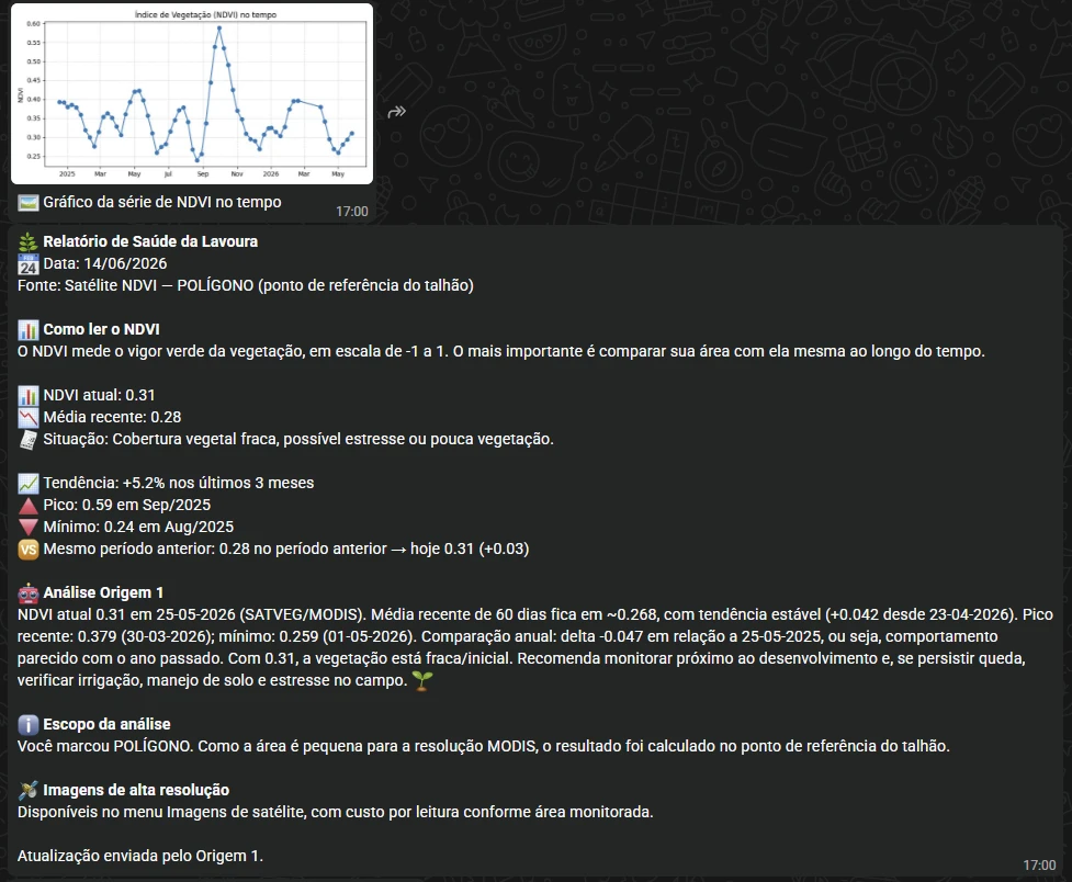 Exemplo real de relatório SatVeg com gráfico NDVI dos últimos meses