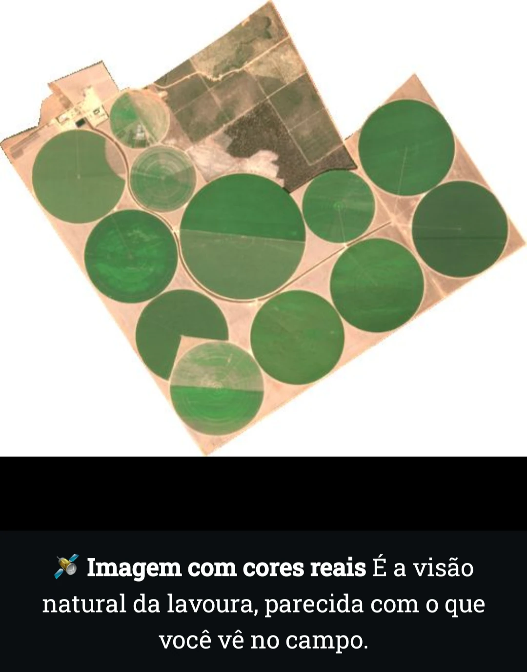 Exemplo real de imagem de satélite em cor verdadeira da área cadastrada