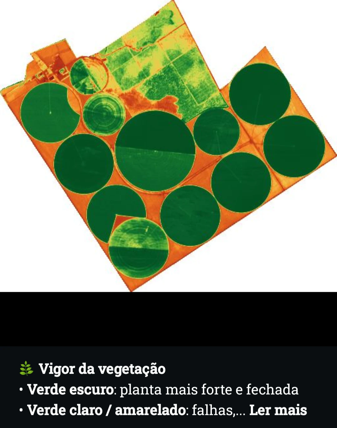 Exemplo real de camada de vigor da vegetação por satélite
